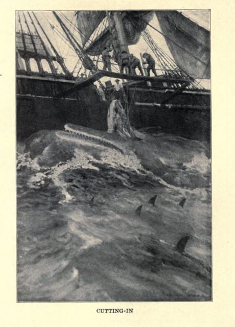 A picture for the book Moby Dick; or, The Whale