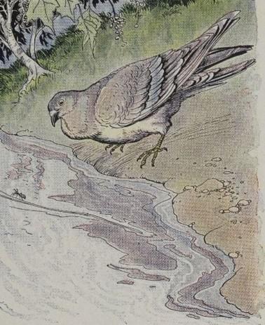 An illustration for the story The Ant And The Dove by the author Aesop