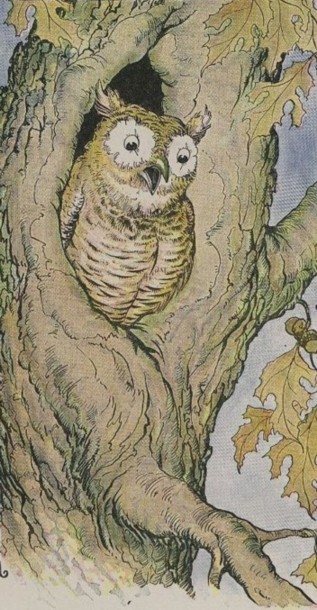 An illustration for the story The Owl And The Grasshopper by the author Aesop