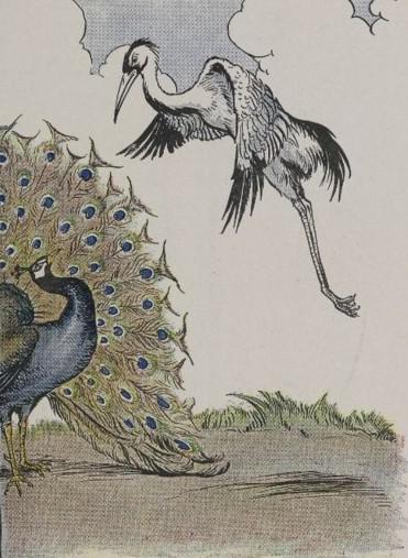 An illustration for the story The Peacock And The Crane by the author Aesop